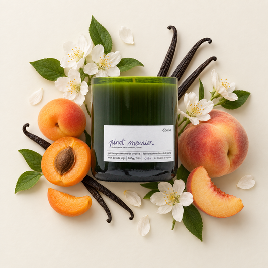 Bougie Pinot Meunier dioniso en verre réemployé entourée d’abricots, pêches, fleurs blanches et vanille